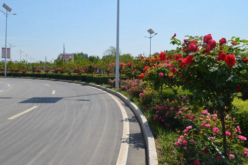 产业发展， 致富关键