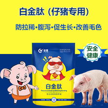 功能性小肽入饲料，育肥猪生长性能将如何显著提升