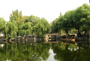 花木与建筑的配置