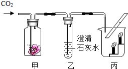 加水的时候，有没有什么讲究？