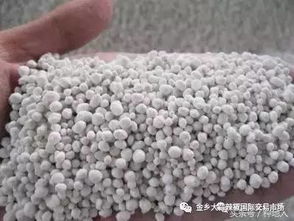 草木灰在农业中作为天然肥料，富含钾、钙等矿物质