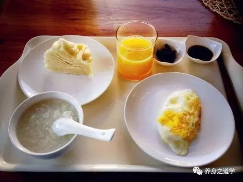 小鸡喂养指南：全面了解小鸡的营养需求与食物选择