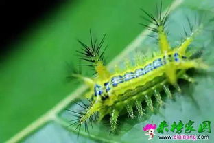 听说有人用过 那我就来问问