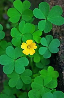 环境与构图， 氛围的无声烘托