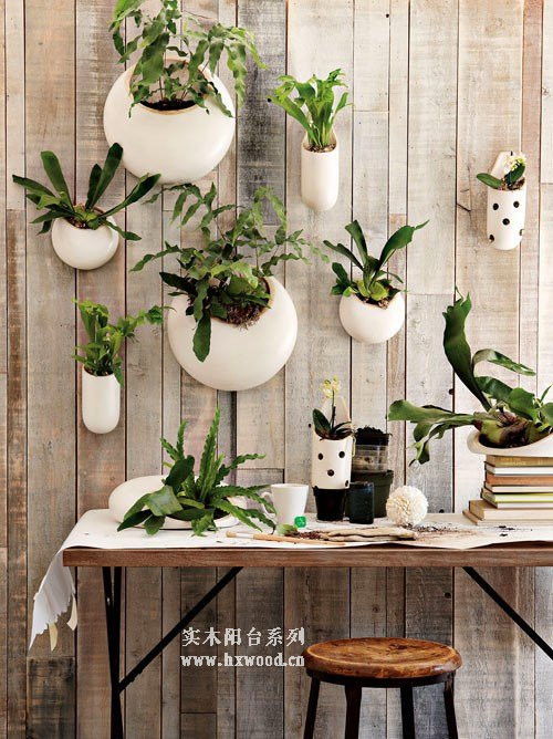 阳台种花小攻略：耐晒好养， 花儿陪你过夏天