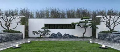 未来景观设计：探索新型元素的融合之旅