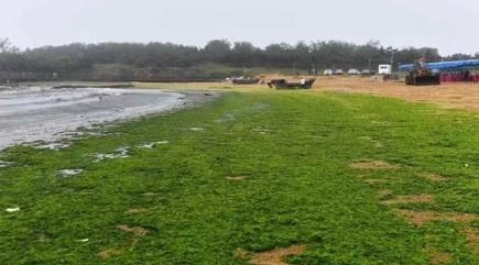 适宜的生长环境