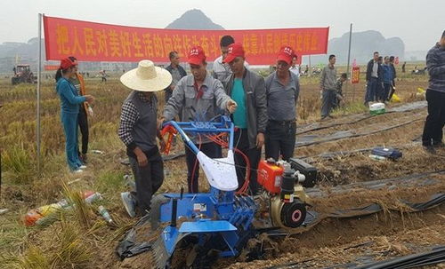高效土豆种植机，助力农业现代化