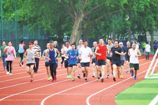 夏天的绿荫庇护