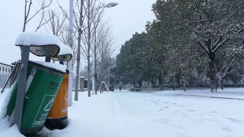 梨花头？轻盈如雪