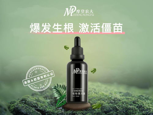 家庭园艺营养液：植物成长的秘密武器