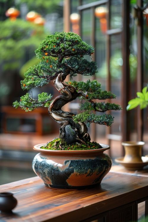 修剪松树盆景的奥秘