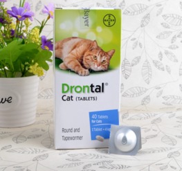 使用枪手杀虫剂喷猫后这种杀虫剂对猫咪的健康有哪些潜在危害？