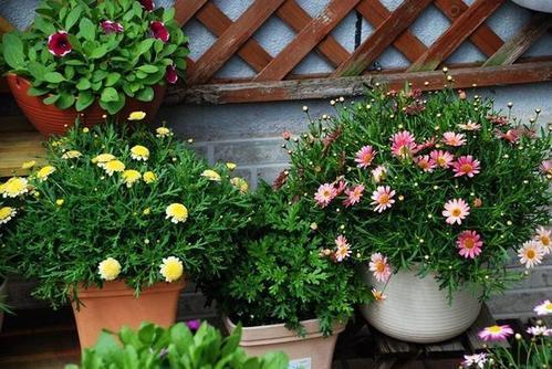 午后浇水的绿化带， 水分利用率只有23%，而凌晨浇灌的达到58%