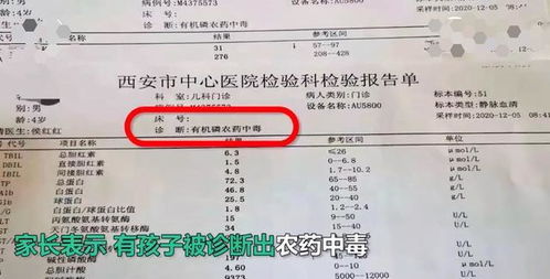 什么是青菜里的激素农药残留？
