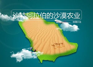 基础认知：多数耐旱草种可休眠60天等雨