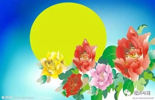 花好月圆的浪漫情怀