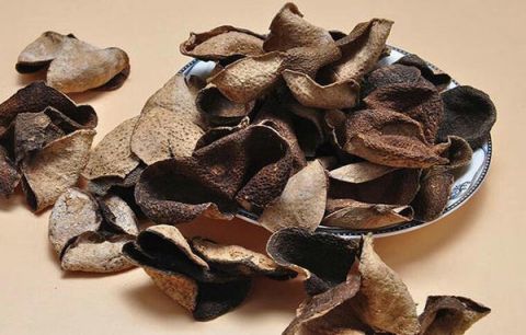 问题三：农药蘑菇的多糖含量有多少？