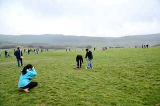 青海湖东克土治沙站， 创新技术的应用