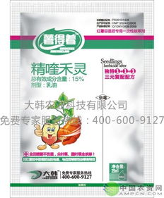 红薯苗除草剂药害，愁坏种薯人