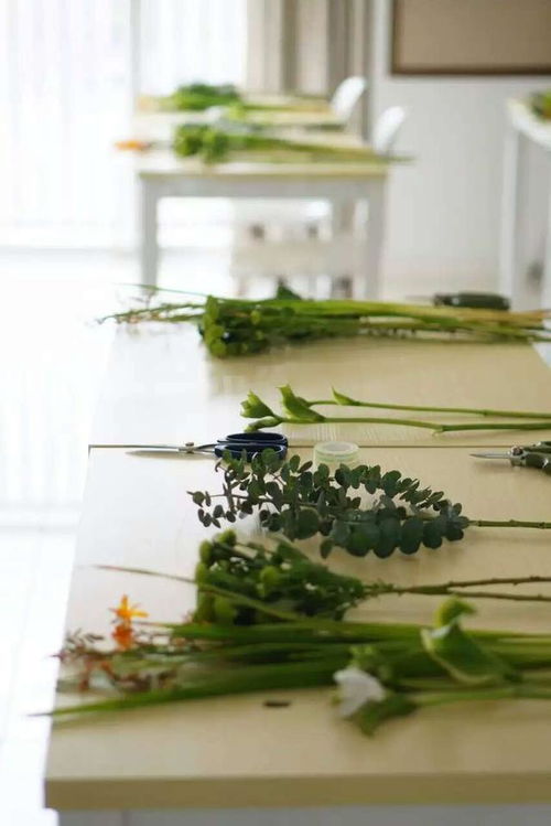 那些成功转行者是怎么Zuo到的？