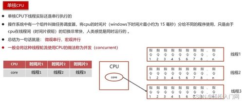 掌握种子保存技巧，轻松识别优质种子！
