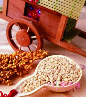 植物学问——多肉植物星兜繁殖方法