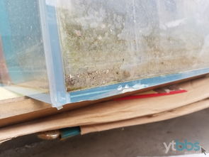 超白玻璃草缸哪个品牌质量好？与其它品牌相比有何优势？