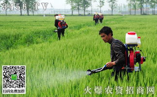 麦黄金药，Neng不Neng和除草剂混用？