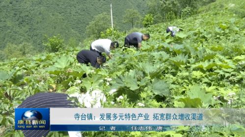 渠道三：电商创业，拓宽销售市场