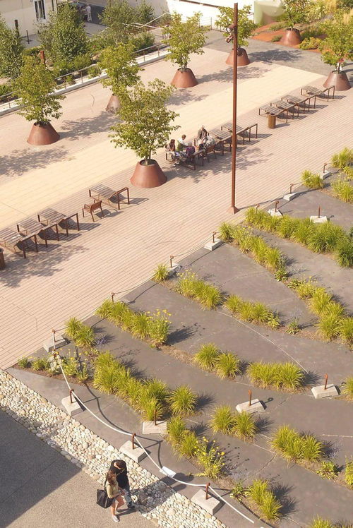 停车种花的好处：美化环境， 净化空气