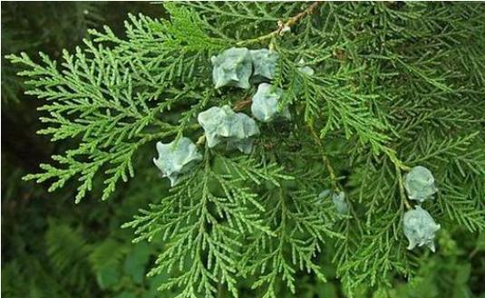 比价发现有趣现象