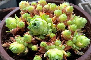 消毒消毒，健康第一