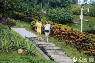 环境布置要讲究