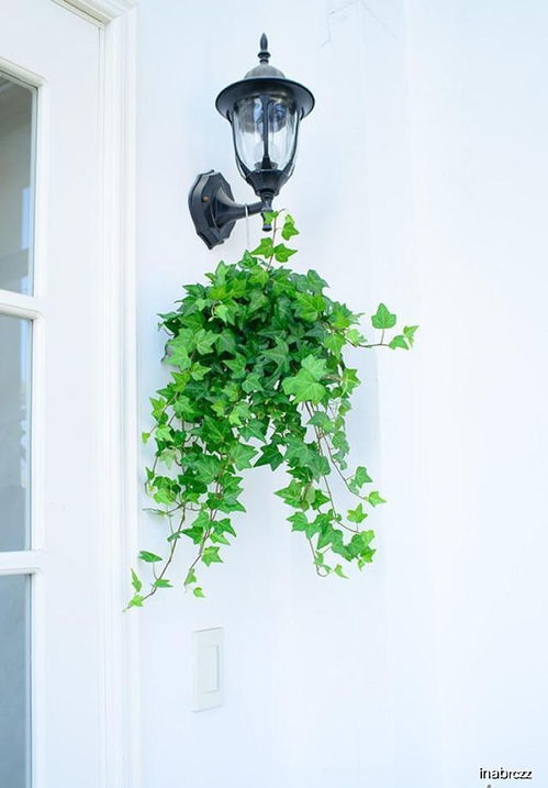 土壤选择与使用