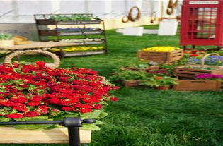 门票预订服务：享受优惠价格