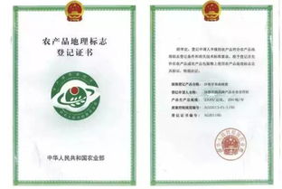 南阳的宝贝， 数dou数不过来