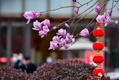 双十花开正艳，你知道是哪种花吗