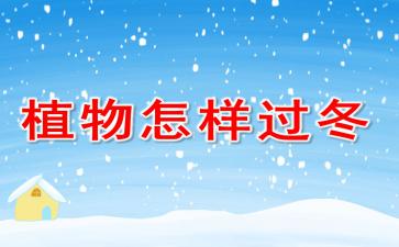 冬天植物需水量减少，如何调整浇水频率