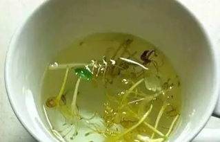 菊花胖大海金银花泡水，真的能清热解毒吗
