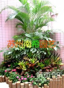 快递箱育苗：创意无限的花卉种植