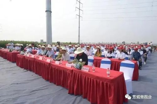 紧盯项目， 建设健康养生之dou