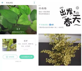 这是什么植物？老司机教你一招