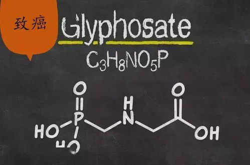美国草甘膦：转基因粮食的“好朋友”