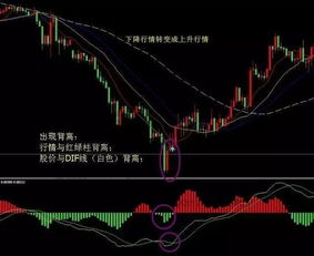 2025年中药材价格波动大，种植户如何规避风险？