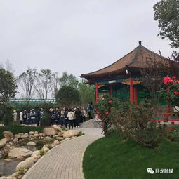 卧龙展园，历史与现代的交汇