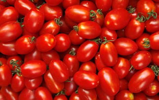 浇水时间，有讲究