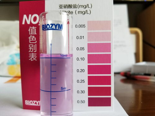 鱼缸硝酸盐爆表怎么办？老司机三天救急，长效控制秘诀是什么？