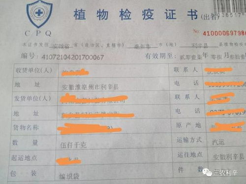 种子苗木调运，检疫合格是关键！