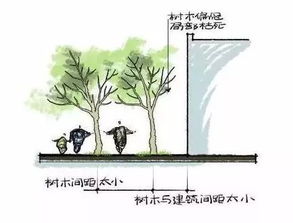 树木朝向的辨认